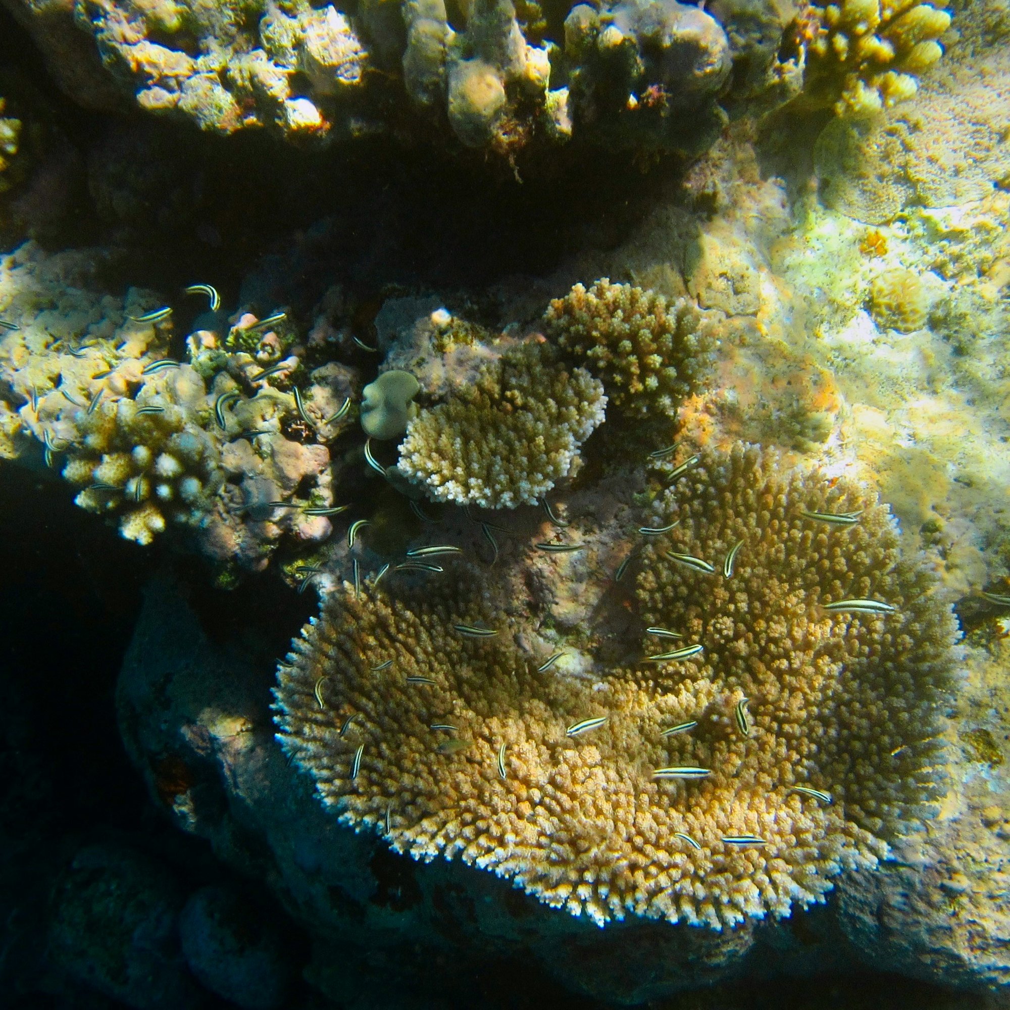 nuraini-arsad-hNbKfWQ-o5k-unsplash